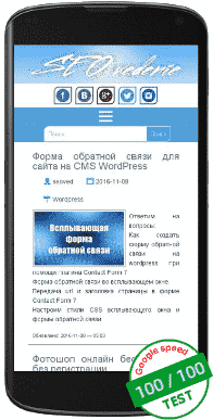 Скорость и удобство seo блога в Google PageSpeed = 100% google-speed-test